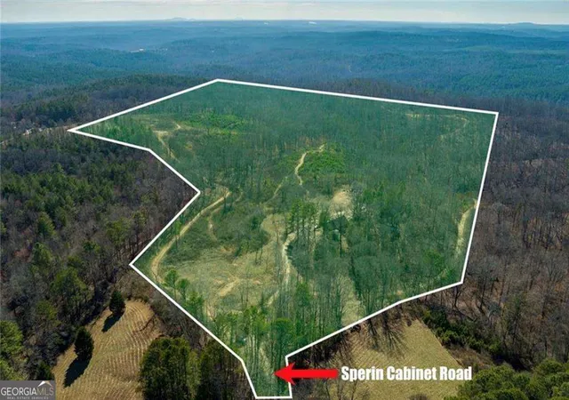 1st image of 170 Sperin Cabinet Shop Rd, Ball Ground, GA 30107 | MLS# 10776648