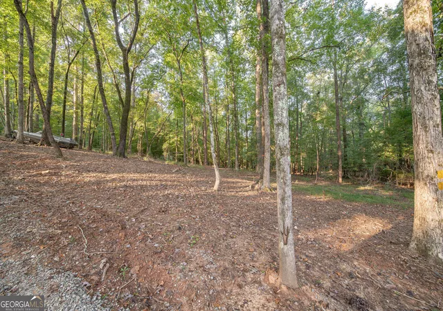 Homes for sale in Hamilton, GA | 265 Dollar Rd, Hamilton, GA 31811 | MLS# 10712797