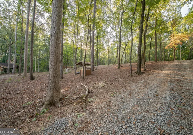 Homes for sale in Hamilton, GA | 265 Dollar Rd, Hamilton, GA 31811 | MLS# 10712797