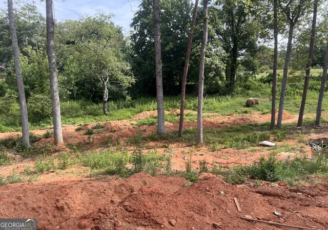33rd image of 2063 Hwy 197 N, Clarkesville, GA 30523 | MLS# 10803173