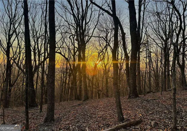 image of Lot 2 Mount Mincie Rd, Murrayville, GA 30564 | MLS# 10823118
