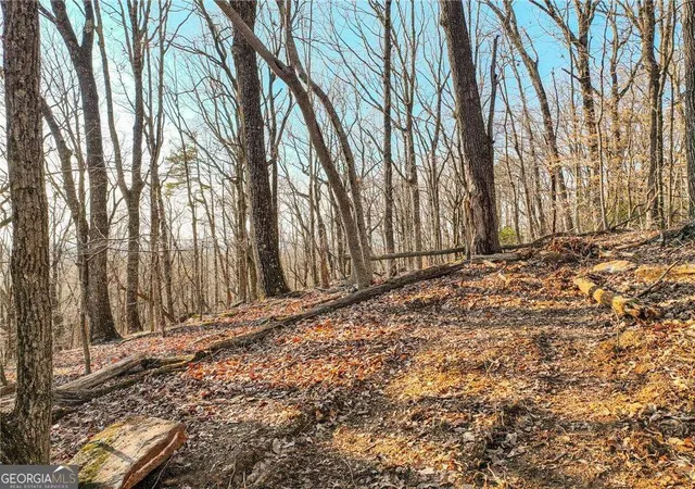 image of Lot 2 Mount Mincie Rd, Murrayville, GA 30564 | MLS# 10823118
