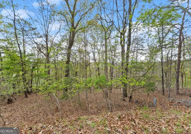 Photo 2 of Land for sale at 2528 Thompson Ovlk, Gainesville, GA 30506 | MLS# 10727304 | Listing updated on 2026-04-21