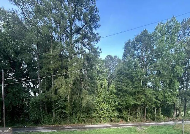 2nd image of 0 Williams St, Woodland, AL 36280 | MLS# 10811689