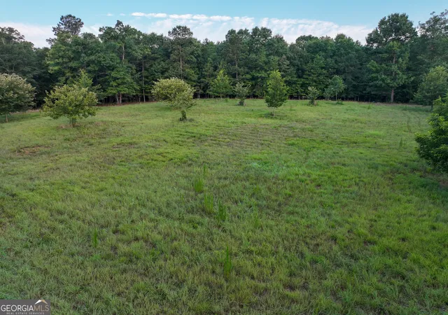 Homes for sale in Flovilla, GA | V/L Highland Cir, Flovilla, GA 30216 | MLS# 10802064