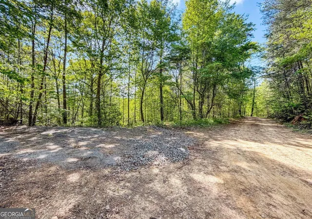 19th image of 40 Ac #2 Valley Lake Rd #MULTIPLE, Mineral Bluff, GA 30559 | MLS# 10824243