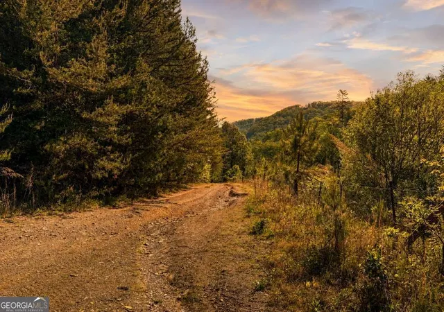 1st image of 40 Ac #2 Valley Lake Rd #MULTIPLE, Mineral Bluff, GA 30559 | MLS# 10824243