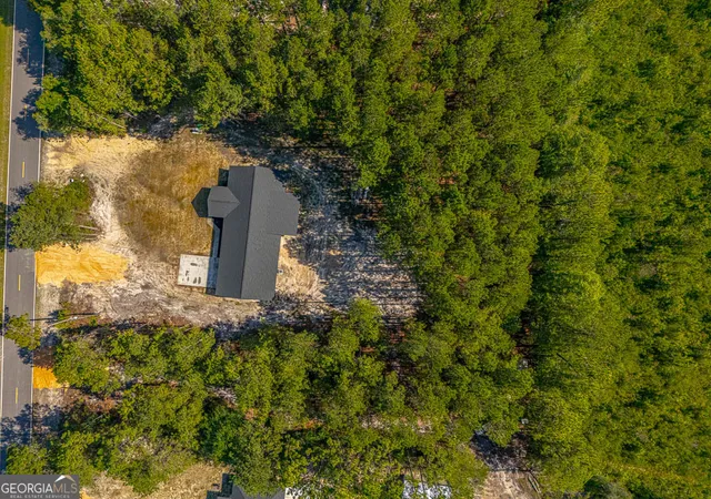 44th image of 7299 Manningtown Rd, Jesup, GA 31546 | MLS# 10805457