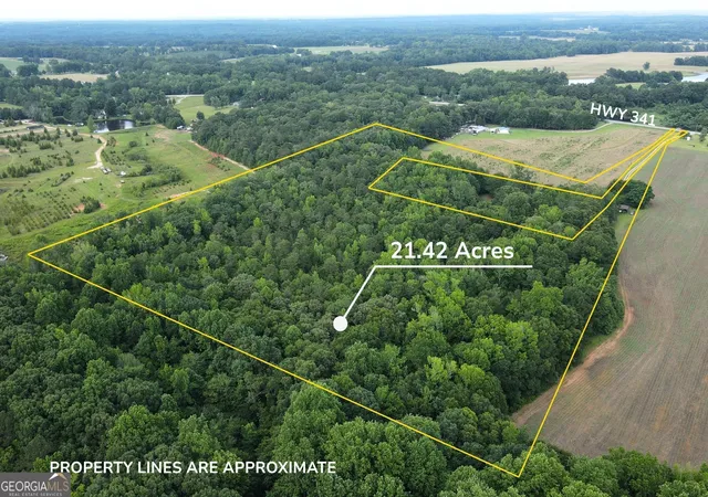 2nd image of 143 Hwy 341 S, Barnesville, GA 30204 | MLS# 10828074