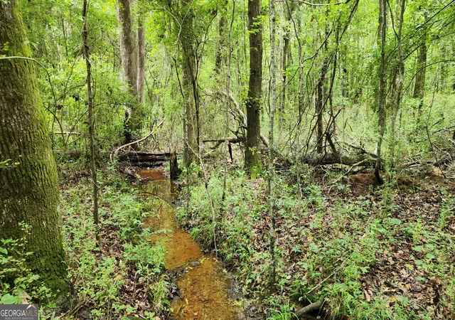 3rd image of 143 Hwy 341 S, Barnesville, GA 30204 | MLS# 10828074