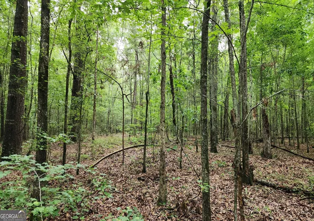 4th image of 143 Hwy 341 S, Barnesville, GA 30204 | MLS# 10828074