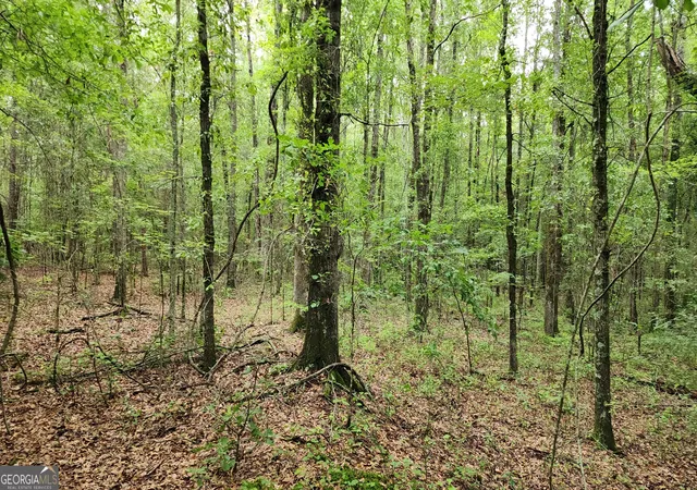 5th image of 143 Hwy 341 S, Barnesville, GA 30204 | MLS# 10828074
