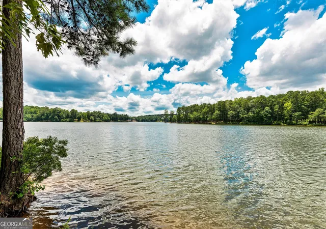 93rd image of 125 North Cove Dr, Peachtree City, GA 30269 | MLS# 10815394