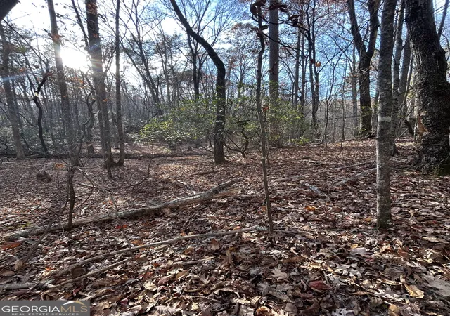 16th image of 0 Yonah View Dr, Cleveland, GA 30528 | MLS# 10598200