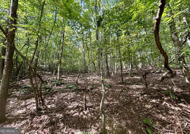 1st image of 0 Yonah View Dr, Cleveland, GA 30528 | MLS# 10598200