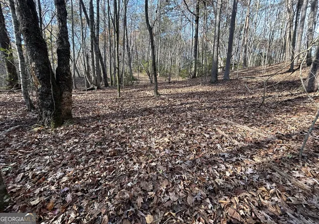 3rd image of 0 Yonah View Dr, Cleveland, GA 30528 | MLS# 10598200