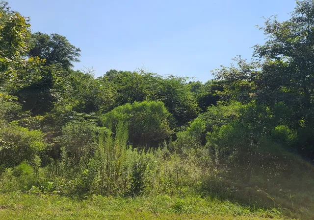 Photo 3 of Land for sale at 2Xx Airport Rd, Perry, GA 31069 | MLS# 10196496 | Listing updated on 2026-09-02