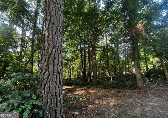 Photo 2 of Land for sale at 4074 Panola Rd, Lithonia, GA 30038 | MLS# 10570432 | Listing updated on 2026-07-25