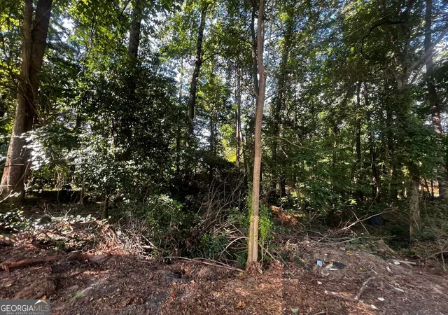 Photo 3 of Land for sale at 4074 Panola Rd, Lithonia, GA 30038 | MLS# 10570432 | Listing updated on 2026-07-25