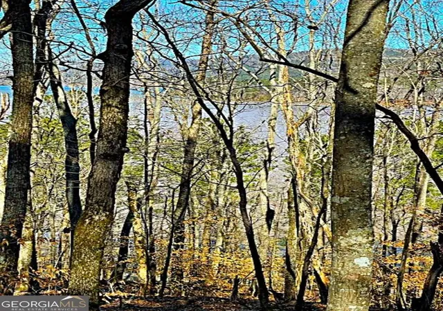 Photo 1 of Land for sale at 0 Overlook Dr, Chatsworth, GA 30705 | MLS# 10821792 | Listing updated on 2026-08-21