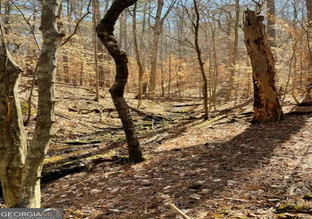 Photo 2 of Land for sale at 0 Overlook Dr, Chatsworth, GA 30705 | MLS# 10821792 | Listing updated on 2026-08-21