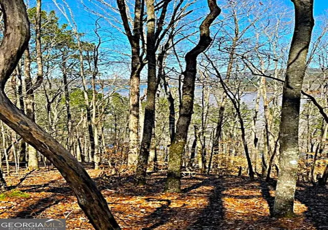 Photo 2 of Land for sale at 0 Overlook Dr, Chatsworth, GA 30705 | MLS# 10821792 | Listing updated on 2026-08-21