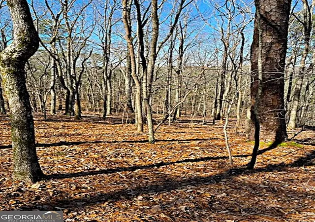 Photo 3 of Land for sale at 0 Overlook Dr, Chatsworth, GA 30705 | MLS# 10821792 | Listing updated on 2026-08-21
