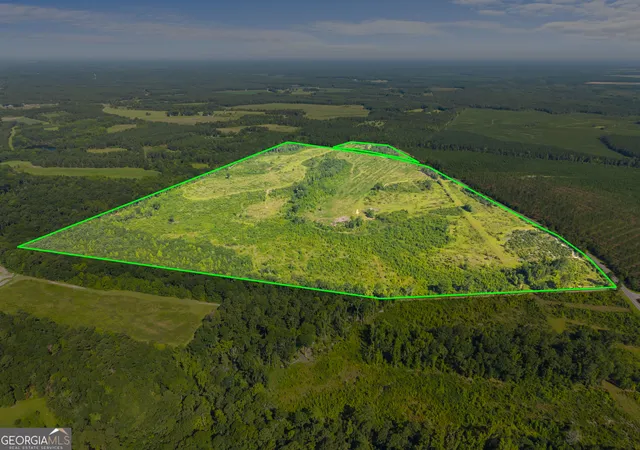 2nd image of 3605 Perkins Hiltonia Rd, Millen, GA 30442 | MLS# 10824806