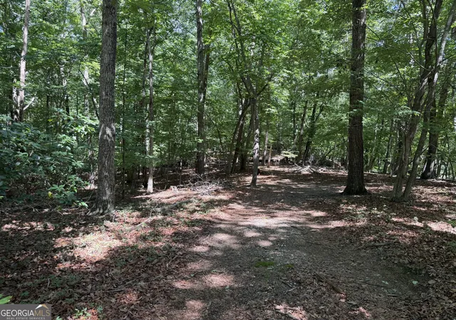 1st image of 7 Ivy Hills Dr, Cleveland, GA 30528 | MLS# 10815381