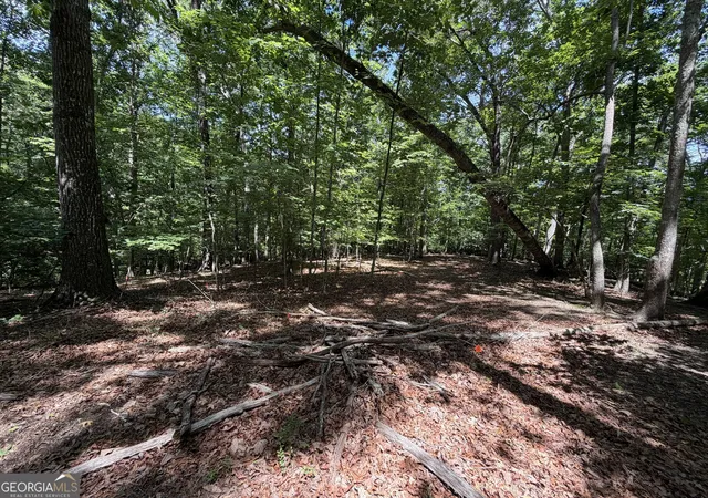 3rd image of 7 Ivy Hills Dr, Cleveland, GA 30528 | MLS# 10815381