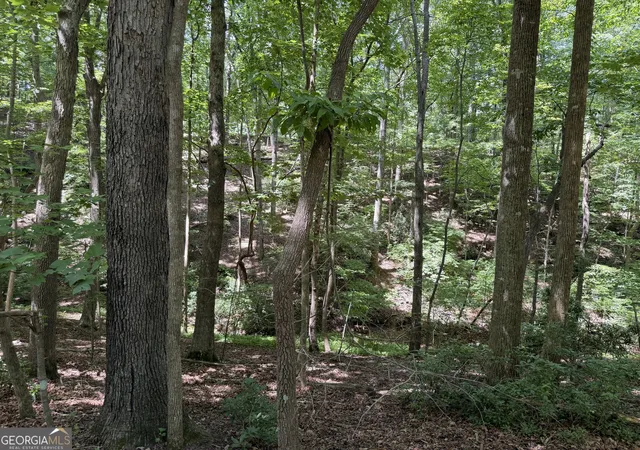 4th image of 7 Ivy Hills Dr, Cleveland, GA 30528 | MLS# 10815381