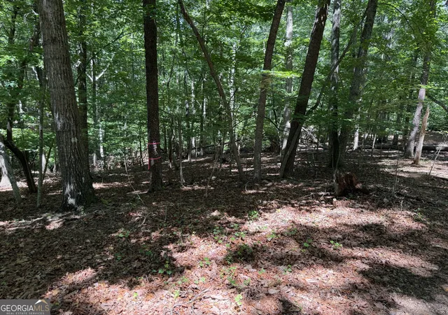 5th image of 7 Ivy Hills Dr, Cleveland, GA 30528 | MLS# 10815381