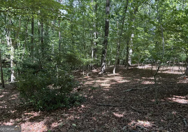 6th image of 7 Ivy Hills Dr, Cleveland, GA 30528 | MLS# 10815381