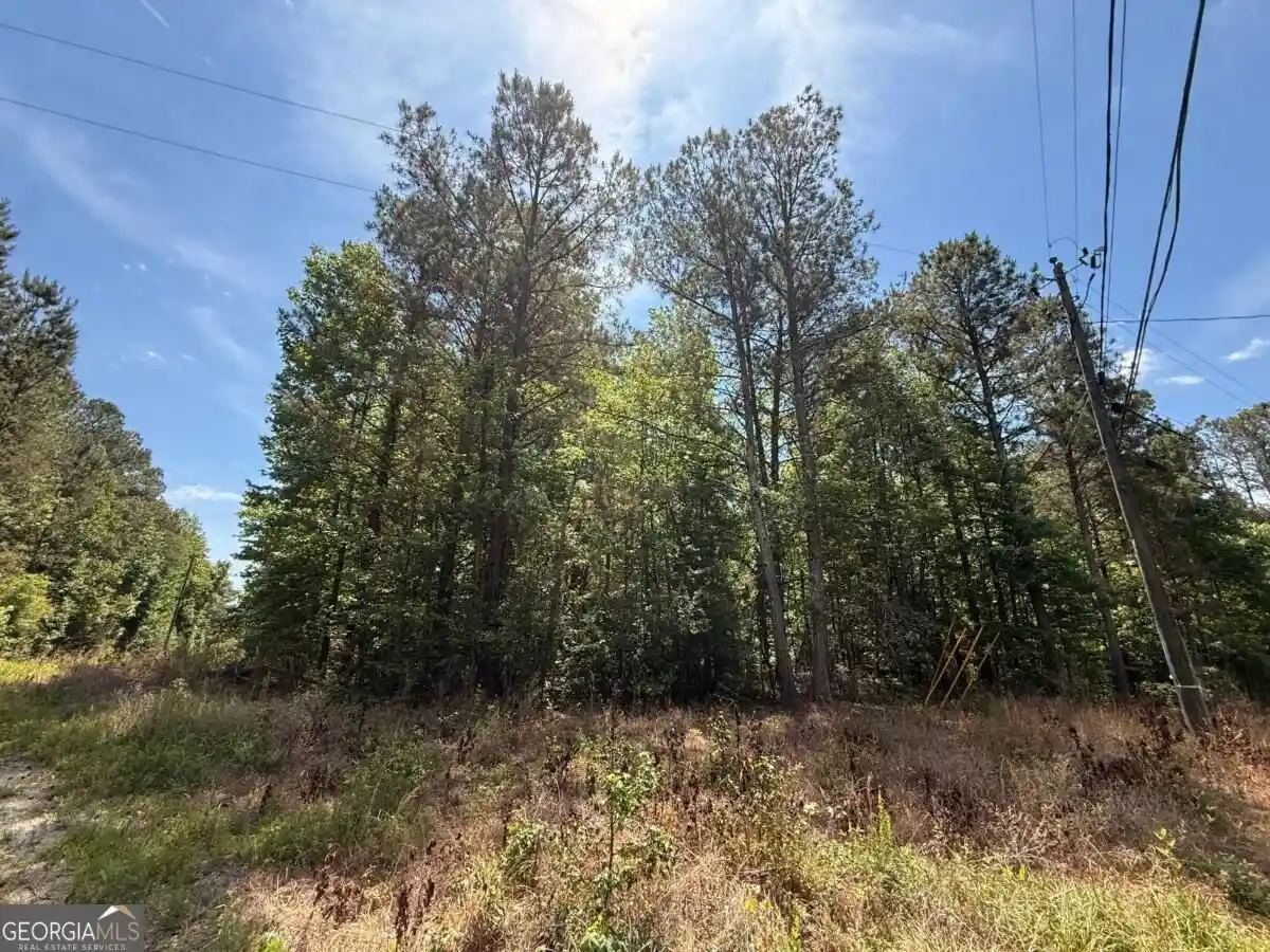Photo 1 of Land for sale at 467 N Raburn Rd, Bremen, GA 30110 | MLS# 10872947 | Listing updated on 2026-10-29