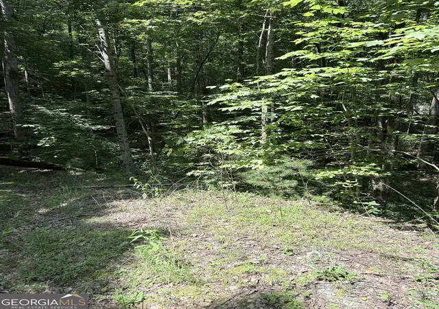 3rd image of Lot 856 Larkspur Ln, Clayton, GA 30525 | MLS# 10800774