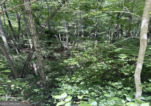 4th image of Lot 856 Larkspur Ln, Clayton, GA 30525 | MLS# 10800774