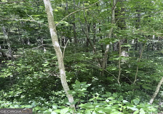 5th image of Lot 856 Larkspur Ln, Clayton, GA 30525 | MLS# 10800774