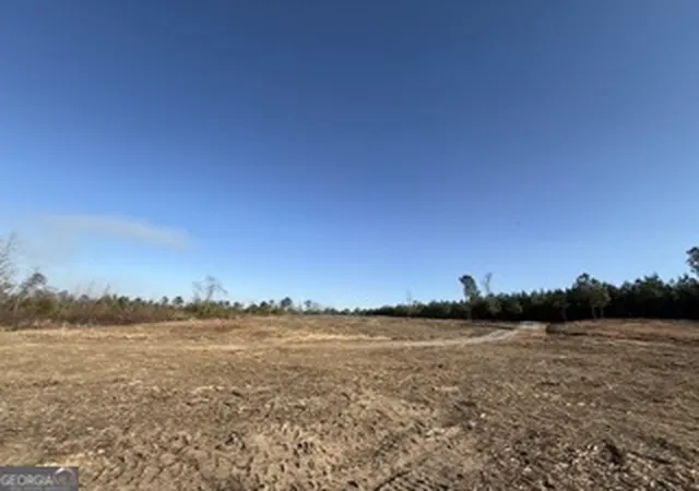 18th image of 142 Wilson, Musella, GA 31066 | MLS# 10693067