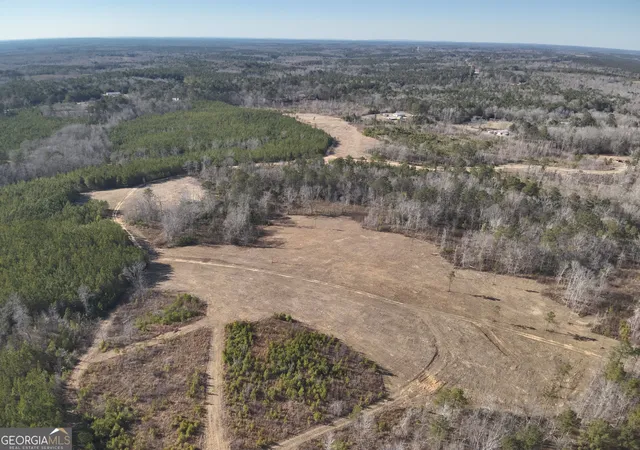 Photo 3 of Land for sale at 142 Wilson, Musella, GA 31066 | MLS# 10693067 | Listing updated on 2026-08-03