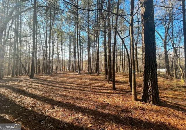 Photo 9 of Sale Pending at 0 Old Stilesboro Rd, Acworth, GA 30101 | MLS# 10811519 | Listing updated on 2026-07-24