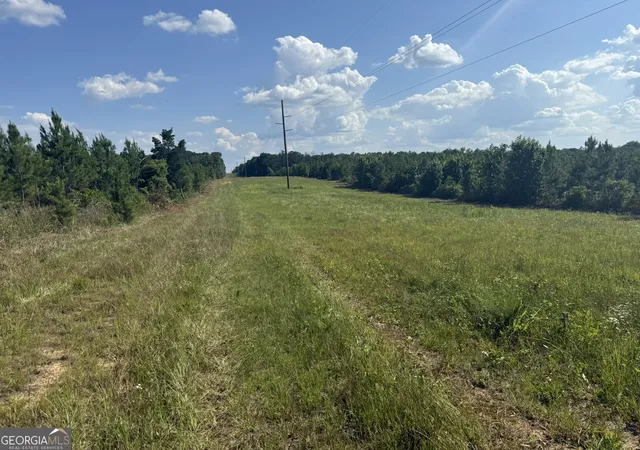 1st image of 009 George Milling Rd, Cuthbert, GA 39840 | MLS# 10784694