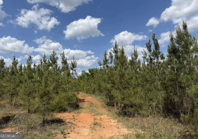 3rd image of 009 George Milling Rd, Cuthbert, GA 39840 | MLS# 10784694