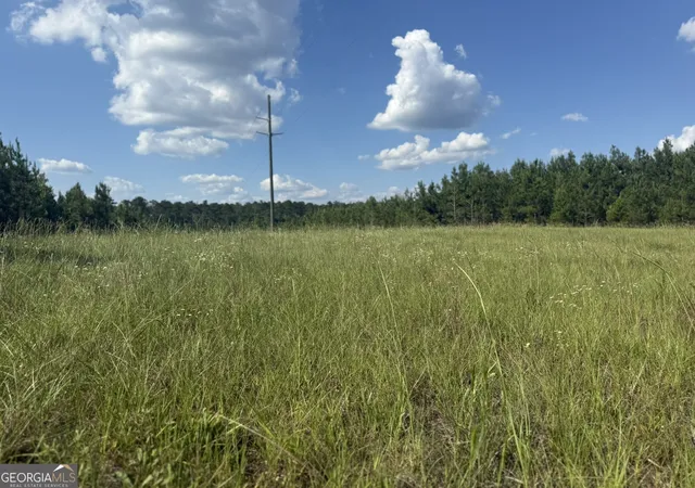 4th image of 009 George Milling Rd, Cuthbert, GA 39840 | MLS# 10784694