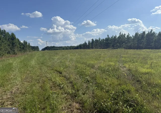 5th image of 009 George Milling Rd, Cuthbert, GA 39840 | MLS# 10784694
