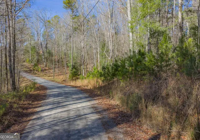 Photo 2 of Land for sale at Lot 117 Jumper Dr, Ellijay, GA 30540 | MLS# 10672294 | Listing updated on 2026-02-27