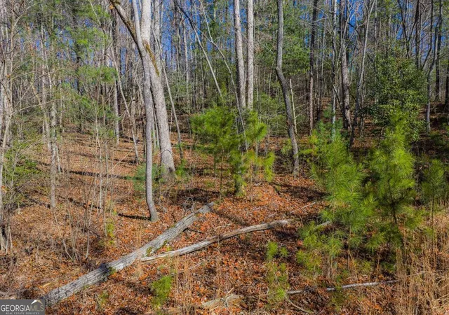 Photo 3 of Land for sale at Lot 117 Jumper Dr, Ellijay, GA 30540 | MLS# 10672294 | Listing updated on 2026-02-27