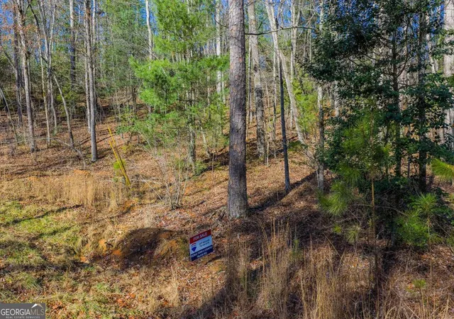 Photo 4 of Land for sale at Lot 117 Jumper Dr, Ellijay, GA 30540 | MLS# 10672294 | Listing updated on 2026-02-27