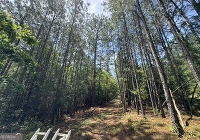 Homes for sale in Elberton, GA | 2062 2062 Fisher Lane Lane, Elberton, GA 30635 | MLS# 10790386