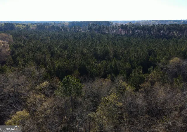 Photo 2 of Land for sale at 0 Clifton Road, Statesboro, GA 30458 | MLS# 10832293 | Listing updated on 2026-09-08