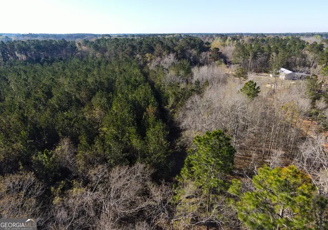Photo 3 of Land for sale at 0 Clifton Road, Statesboro, GA 30458 | MLS# 10832293 | Listing updated on 2026-09-08